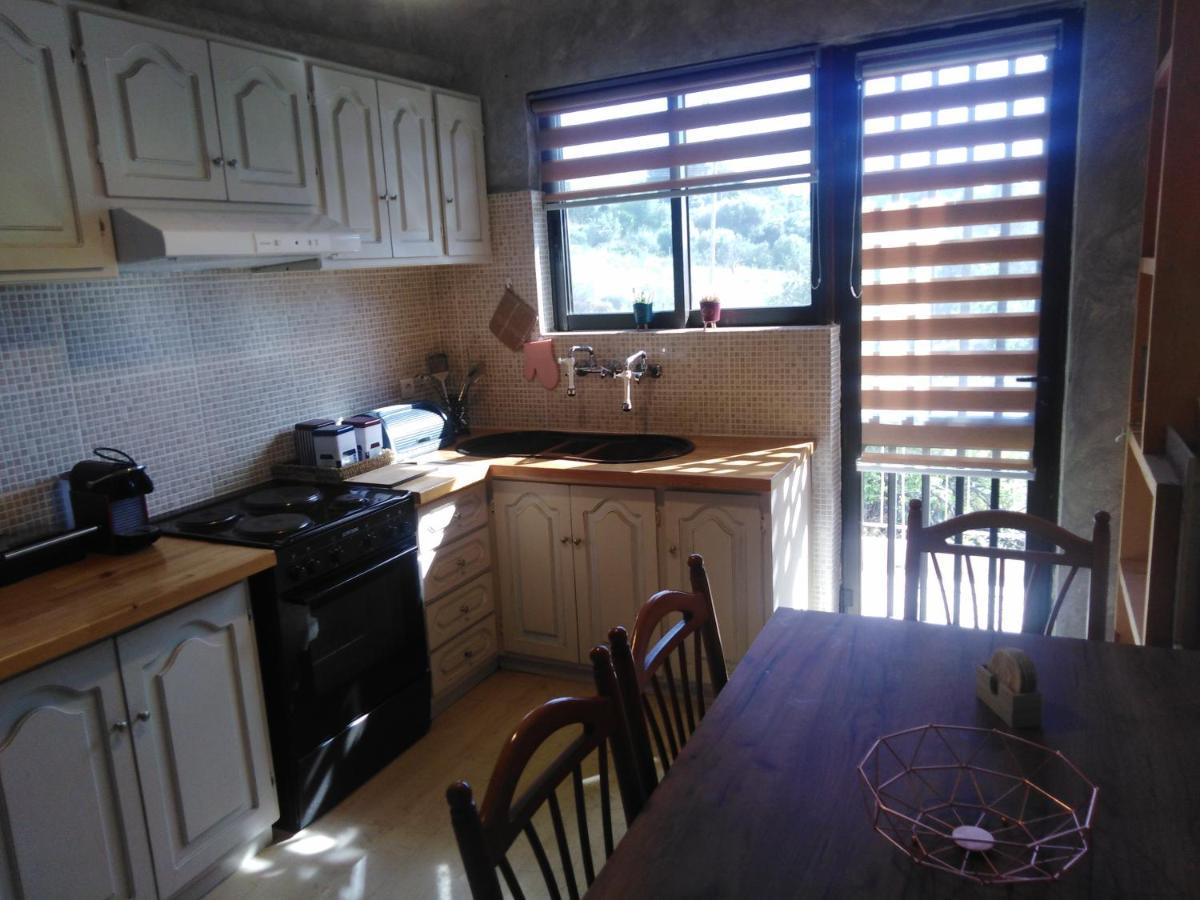 Dimitra Apartment คิปปาริสเซีย ภายนอก รูปภาพ